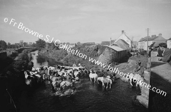 DUFFY'S CIRCUS WATERING THE HORSES IN THE RIVER